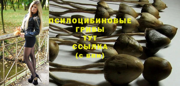 круглые Богородицк